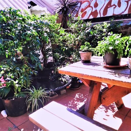 Asylum Sydney Backpackers Hostel Экстерьер фото