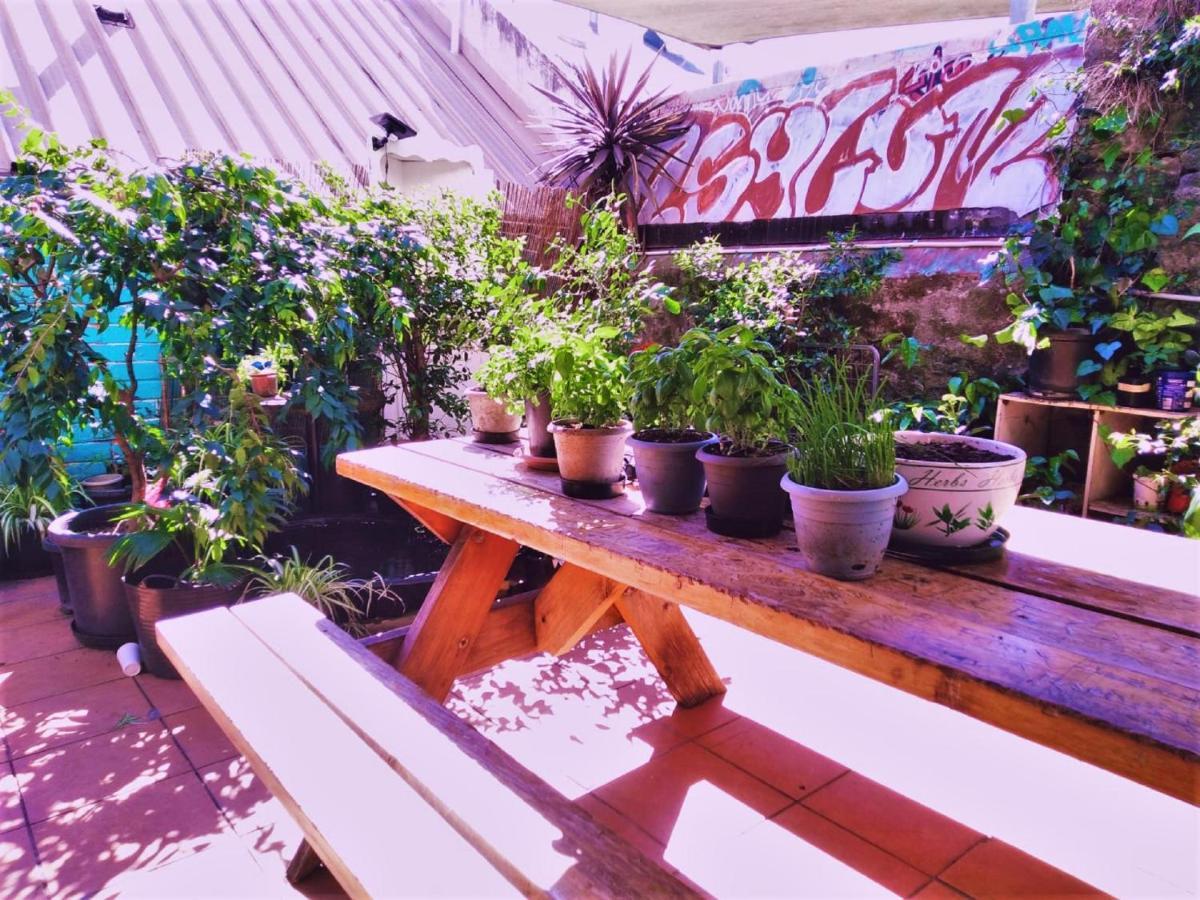 Asylum Sydney Backpackers Hostel Экстерьер фото
