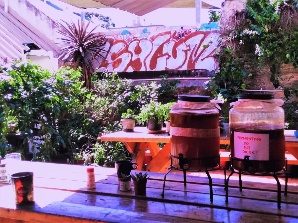 Asylum Sydney Backpackers Hostel Экстерьер фото